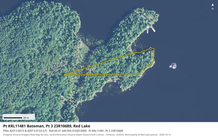 Aerial view for Land in Red Lake, Red Lake