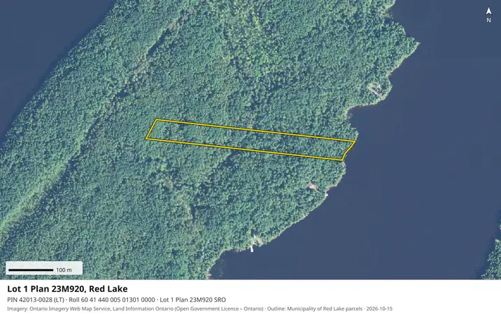 Aerial view for Land in Red Lake, Red Lake